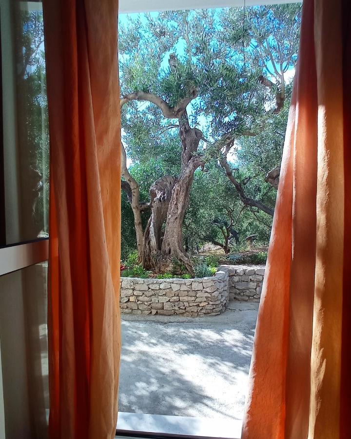 Casa Del Olivo Apartman Tučepi Kültér fotó