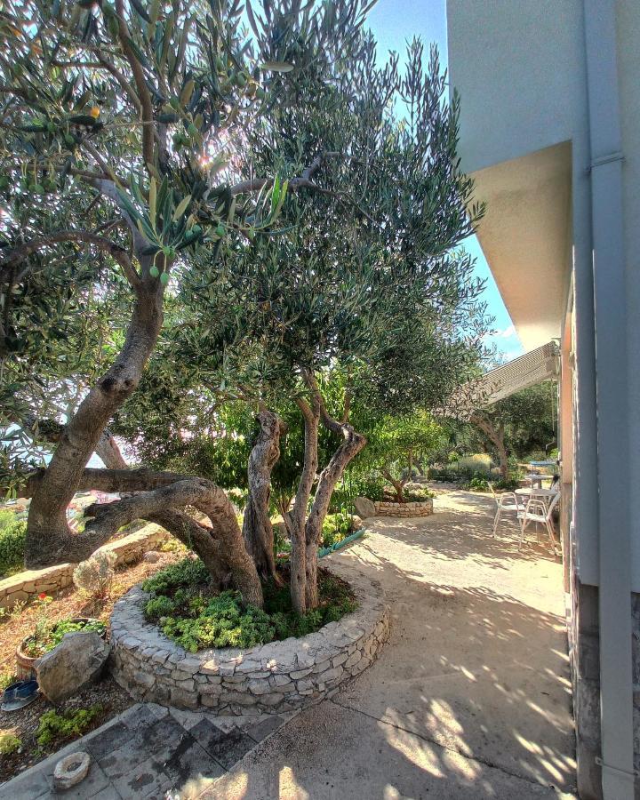 Casa Del Olivo Apartman Tučepi Kültér fotó